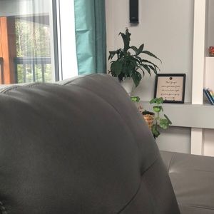 Meet your Posher, Daisy